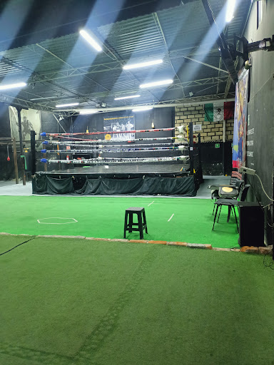 Pancho Rosales gym box Gallery - Mexico