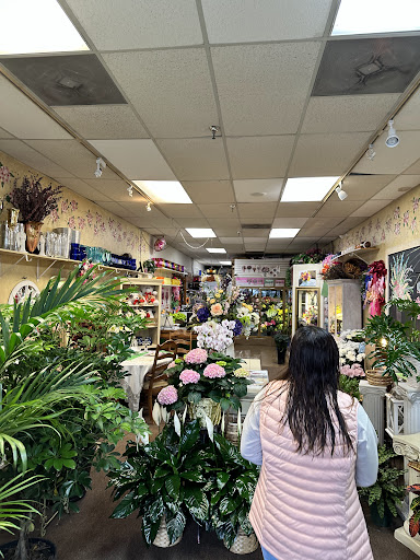 B & C Hillsborough Florist - Thumbnail