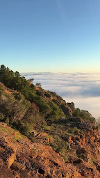 Photo n°12 de French Riviera Guide à Nice (Agence de visites touristiques)