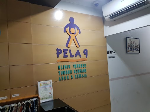 Klinik Terpadu Tumbuh Kembang Anak Dan Remaja Pela 9, Author: Indra Hadiwidjaja