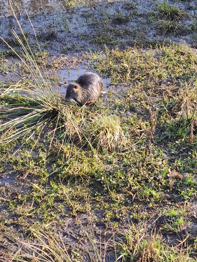 Boardman Wetlands and Nature Playground