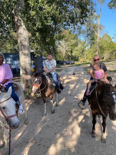 Horserideforfun.com - Thumbnail