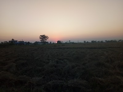 Photos of Btm