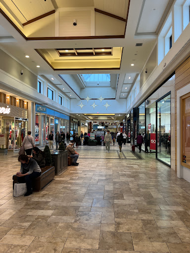 Lansdowne Place - Thumbnail