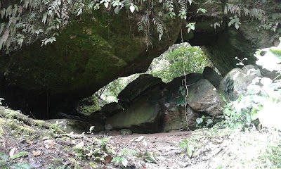 Photos of Niagara Loknya