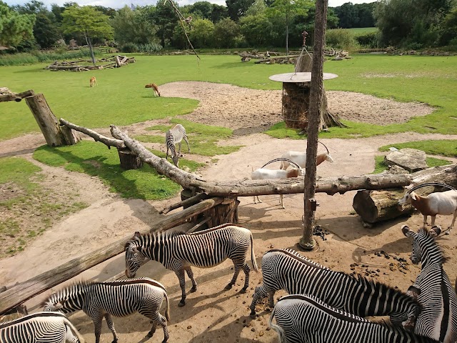 Zoo de Leipzig