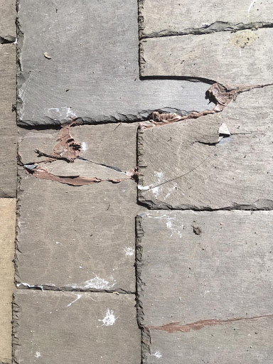 MCS Roofing - Thumbnail