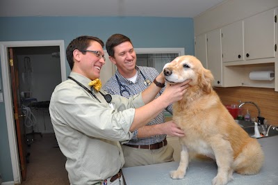 Southern Veterinary Partners