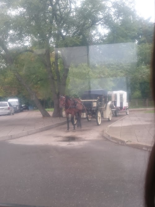 Smiltynės diskgolfo parkas