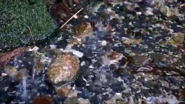 宅配･登山用品レンタルと屋久島ガイドの屋久島自然学校