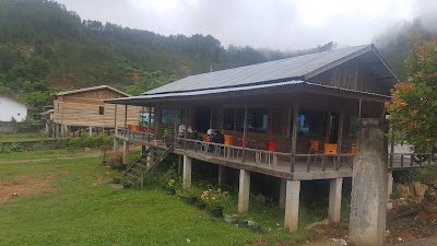 Photos of Green Zone Cafe&Resto