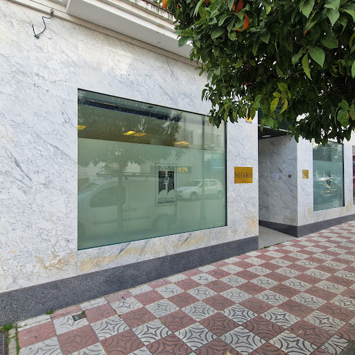 Notaría Valencia de Alcántara - María Morales Del Solar