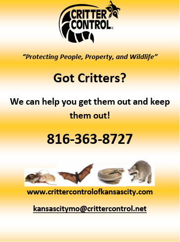 Critter Control of KCMO.