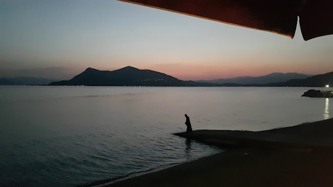 Εστιατόριο «Νούφαρα» - Εστιατόριο