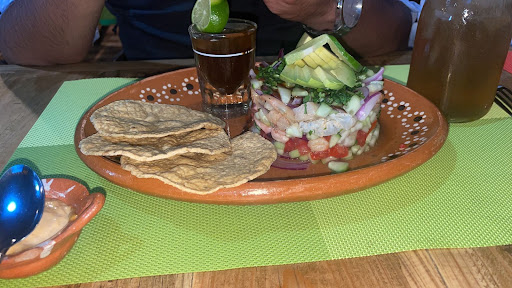El cactus antojeria