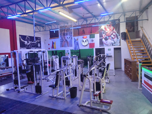 Mfitnessgym - Thumbnail