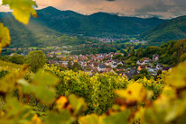 Domaine Schoenheitz à Wihr-au-Val