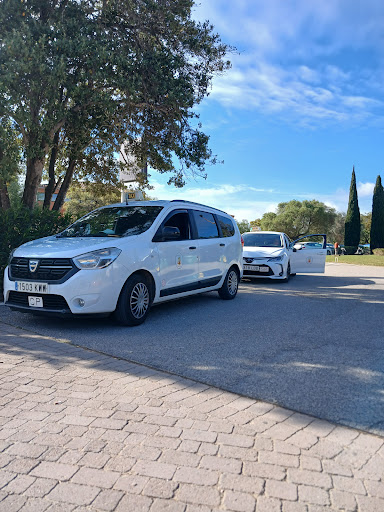 Taxi Alejandro Molina - Thumbnail