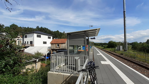 Hirschhorn (Pfalz)