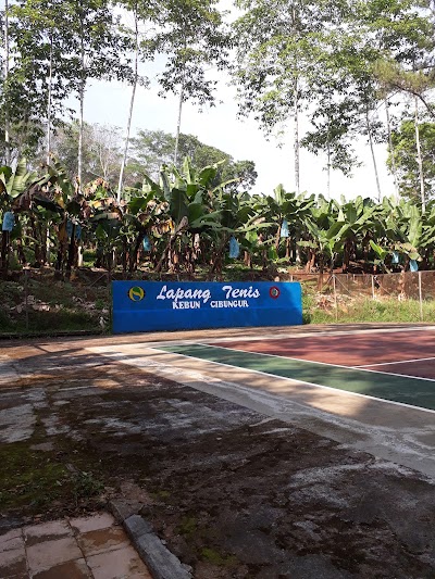 Photos of PTPN VIII KEBUN CIBUNGUR