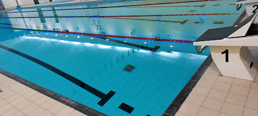Denbigh Dragons Swimming Club - Thumbnail
