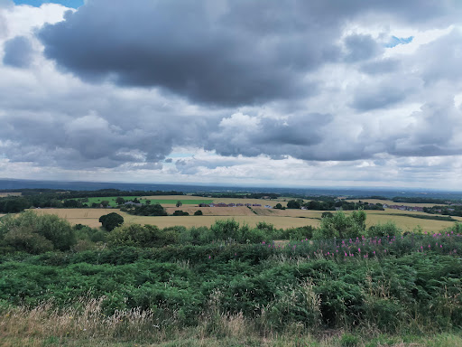 Billinge Beacon - Visual