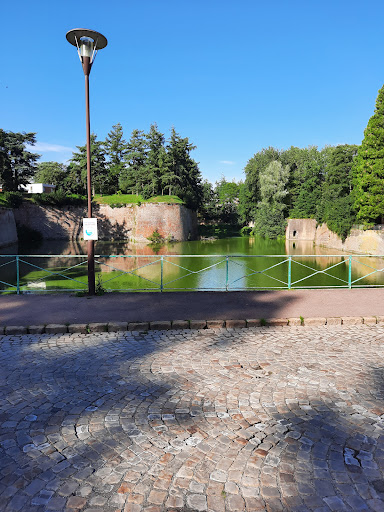 Photo de ALLIANCE EHPAD à Izel-lès-Équerchin (62490)