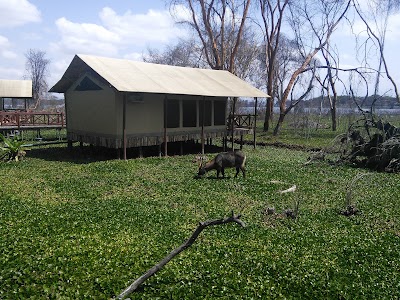 Photos of Lake Naivasha Country Club