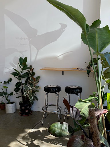 Vegepatch Studios - Visual