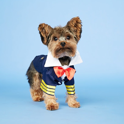 Amazing Paws Pet Store