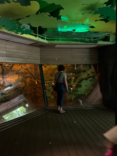 Bats exhibit - Visual