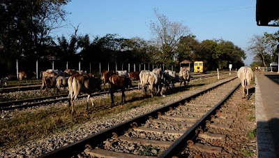 Photos of Train Station