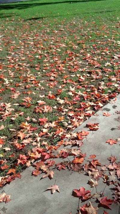 Photos of The Dartmouth Green