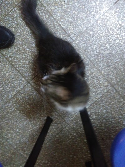 Photos of Veterinaria del Oeste