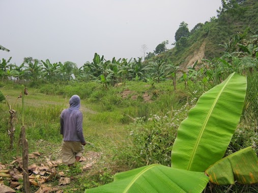 Galian Cipari Batu Taubat, Author: iwan rezpect