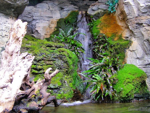 The Houston Zoo