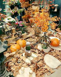 Photo n°63 de Truffaut à Mérignac (Animalerie)