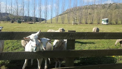 Photos of Springhill Farmstay
