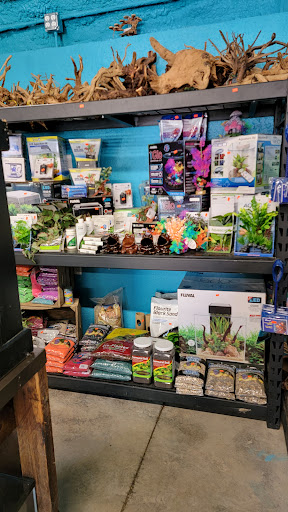 Fish Barn - Visual