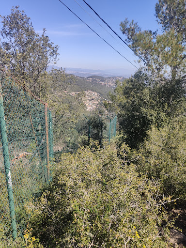 Puig d'Agulles - Thumbnail