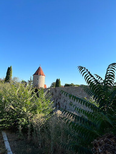 Aussichtspunkt Sommerhausen - Thumbnail
