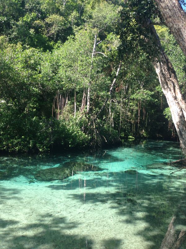 Experience Samana Adventures