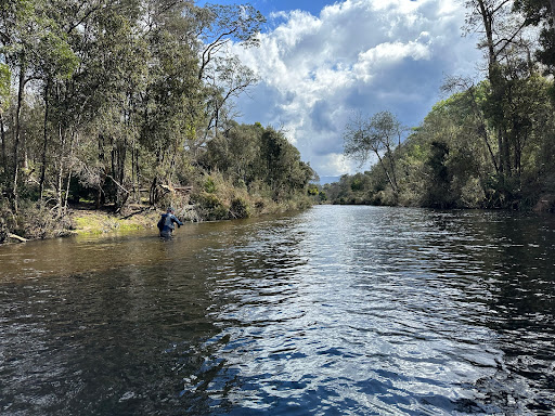Tasmania Fly Fishing Gallery - Australia