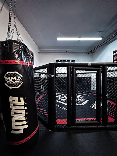 MMA MUNDIAL INGOLSTADT