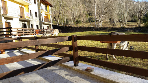 Apartamentos Residencial Villanova