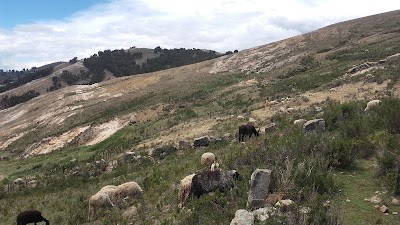 Photos of Isla del Sol