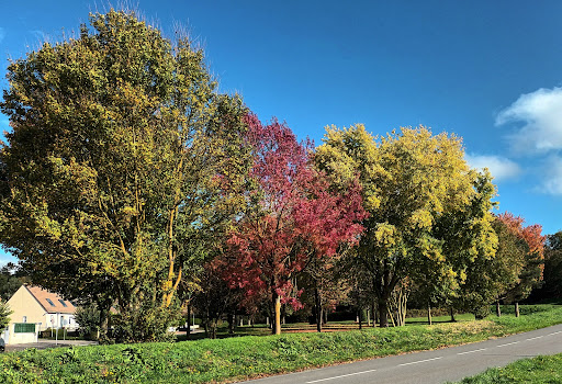 Arboretum de Coudun/Giraumont - Thumbnail