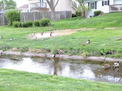 Williamsburg Village Park