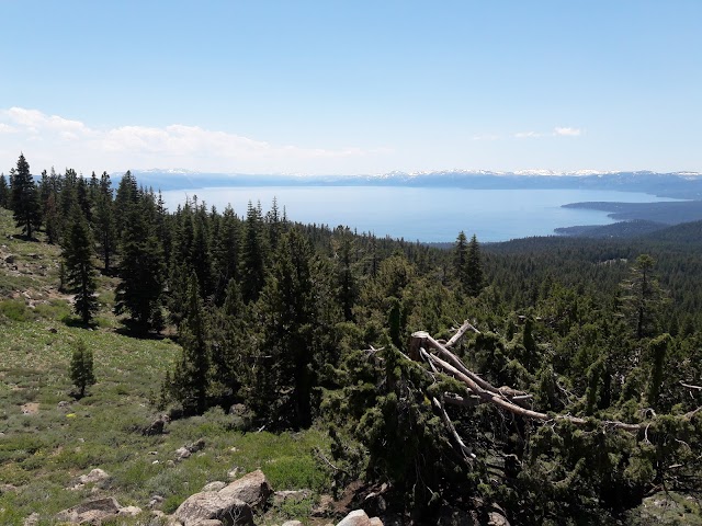 Martis Peak Fire Lookout