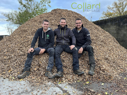 Photo de COLLARD PISCINES à Vivier-au-Court (08440)